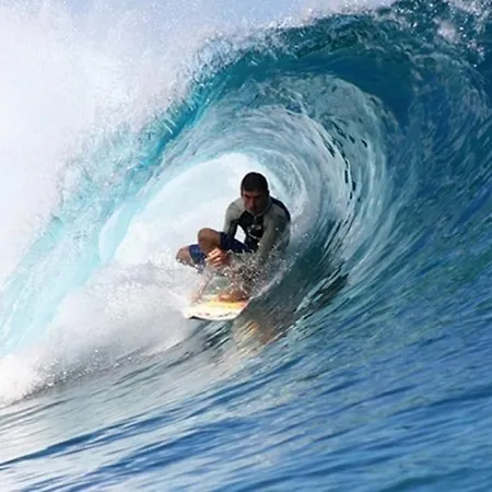 Proprio Daire Espinho (Aveiro)